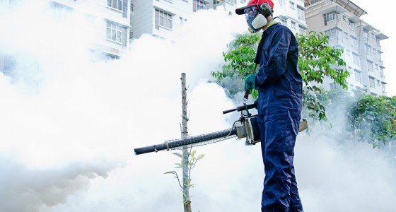 FUMIGACIÓN, CONTROL DE PLAGAS Y SANITIZACIÓN